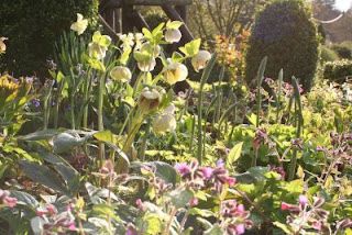 Easter sunshine - and a free bath...