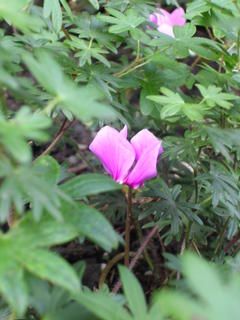 Tuesday August 30, 2005