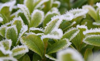 Plenty to say, but little to show you.