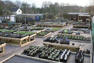 The annual spring sprint.