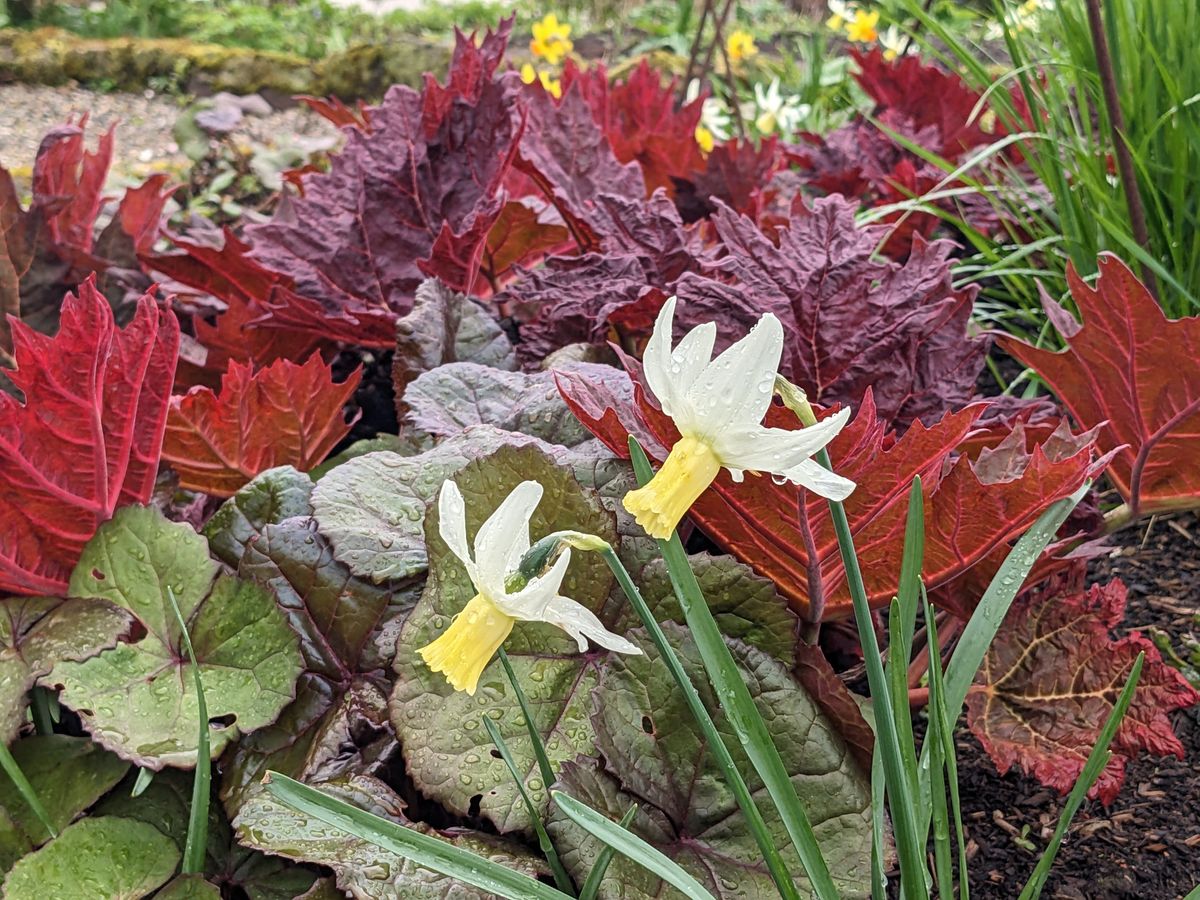 Fresh starts and loose ends..