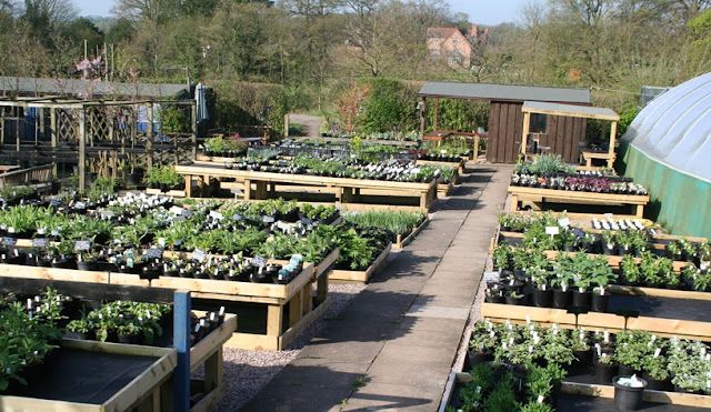 Top 50 isn't bad, is it?