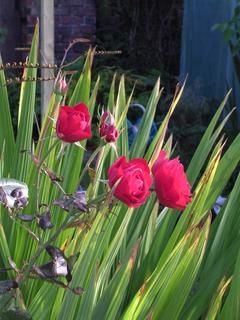 Saturday September 24, 2005