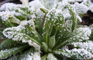 I should be revising, but...