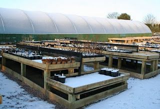 In appreciation of my feet...(Updated..)