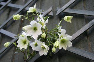 My weather station is better than the BBC