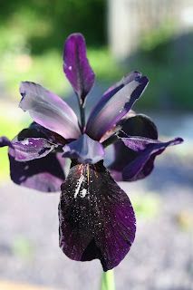 Something old, something new