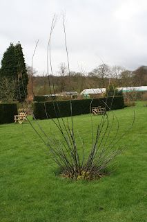 The first cut is the hardest.