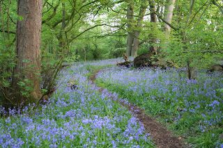 The difference a week makes.