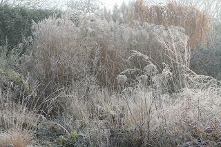 To clear up, or not to clear up?