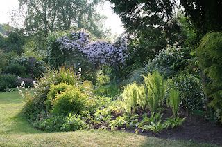 We've seen our badgers!