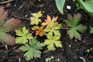 Saturday April 08, 2006