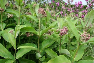 Another identity question....