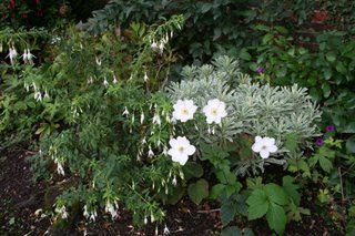 An autumn of 'lasts'