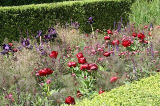 Chelsea pics and thoughts...