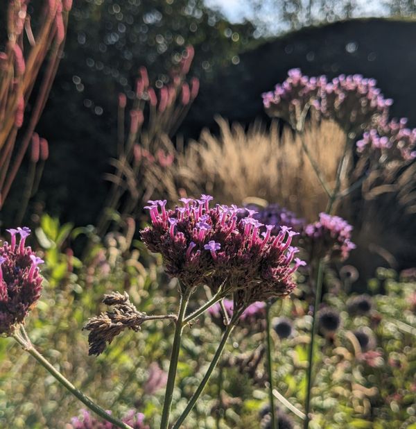 Subtle, shimmering September