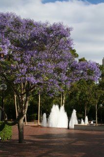 Starting the autumn clear up