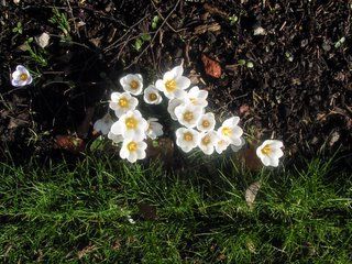 Spring - for an hour or two