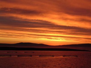 Tuesday July 05, 2005