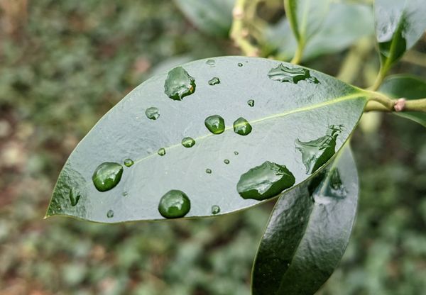 Made of stardust, powered by sunshine