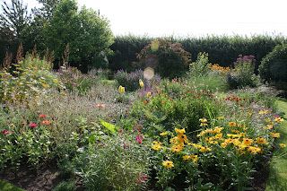 While waiting for chickens....