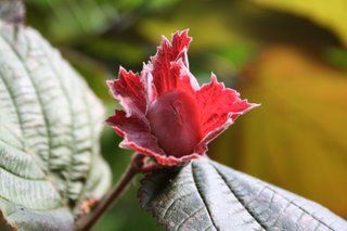 Two of my favourites.