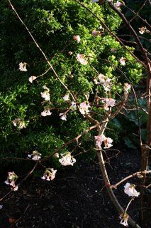 Wild, mild and windy