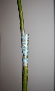 A few months too late but...