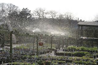 Water and invitations