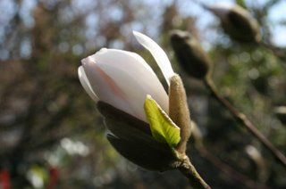 The great Easter break