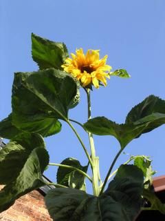 Saturday September 24, 2005