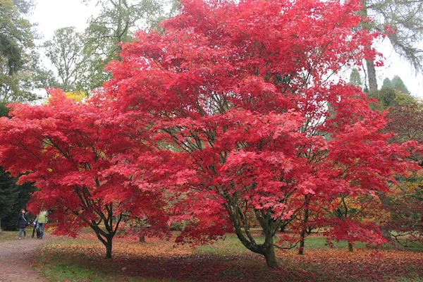 Blaze, blaze against the dying of the light...