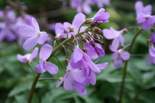 Back on line and open for the season...