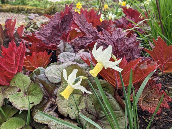 Fresh starts and loose ends..