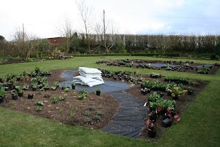 Seeds, lists and staying out of the cold