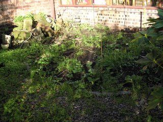 Prairie garden makeover day 1