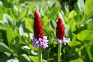 \New heat record at 30.2C