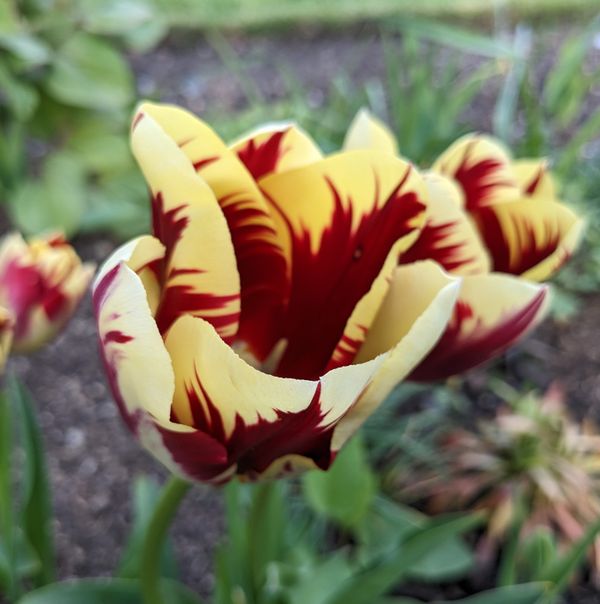 The end of the affair...