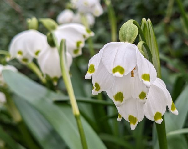 It's all white now...