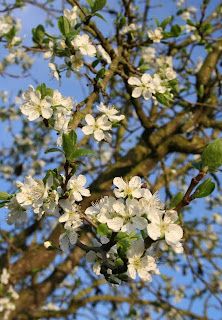 Spring is most definitely sprung.