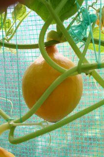 From parasols and shorts to umbrellas and fleeces