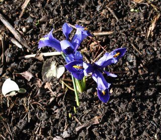 New camera, new world