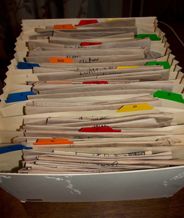 Seeds collected in the garden in 2013