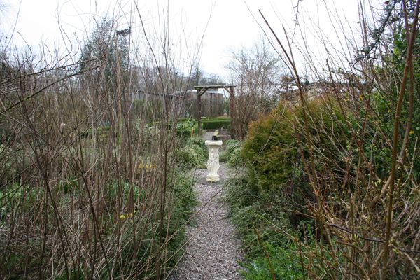 Happy birthday, Bluebell.