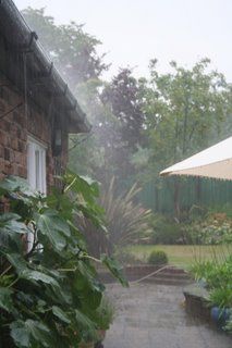 Serious rain at last