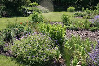 Sunshine, scent and first seeds