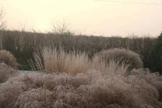 The world from my sofa - Day 1