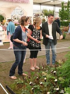 On not catching up, and Chelsea.