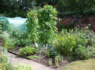 The sweet taste of summer