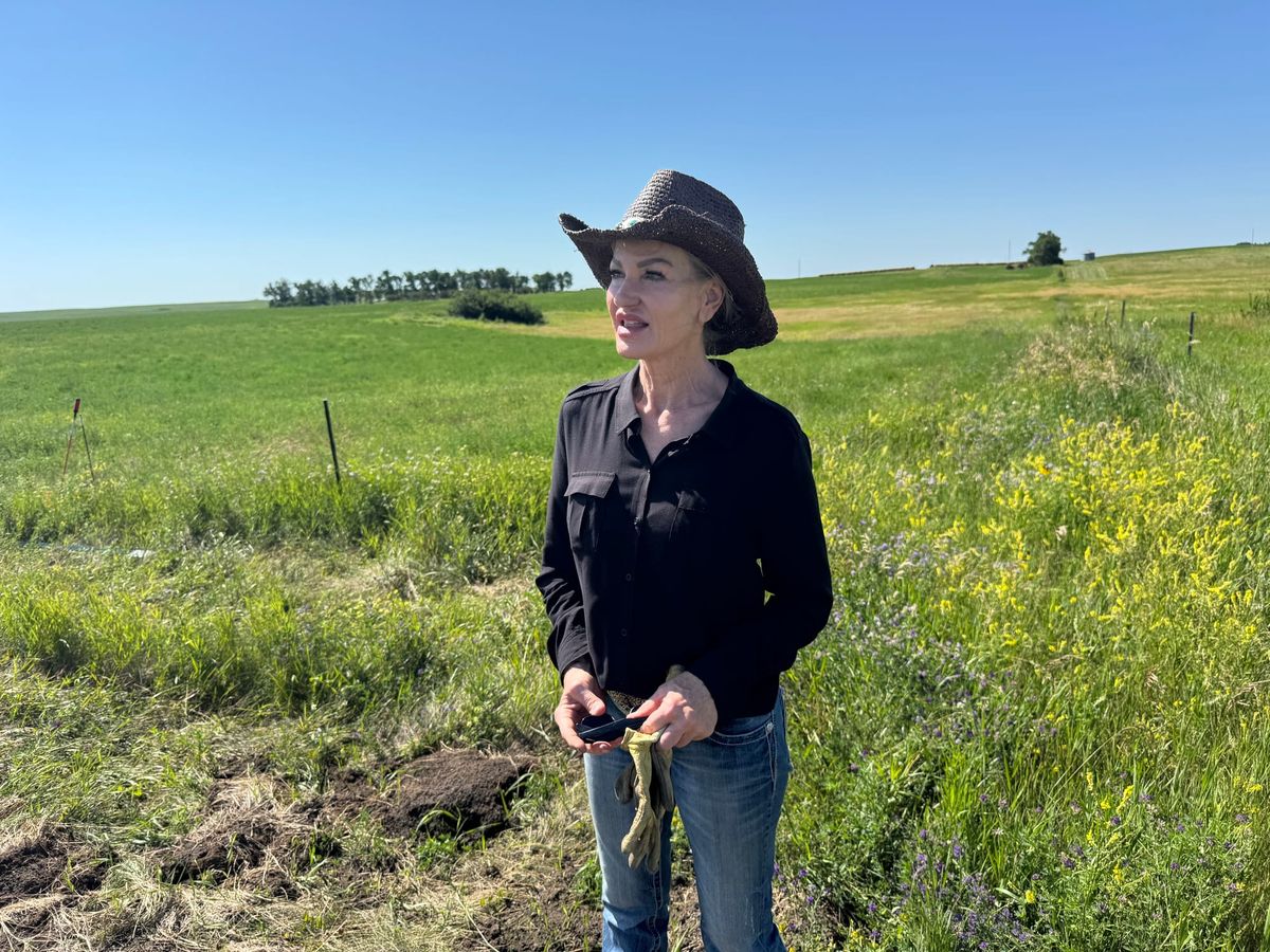 Projects demonstrate carbon capture ranchers can get behind